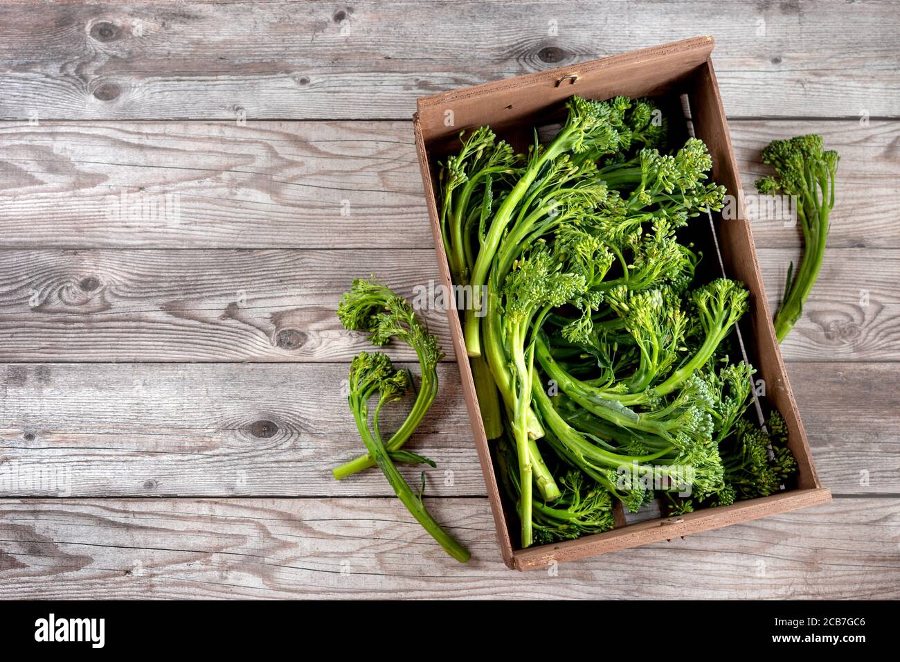 Le broccolini est un nouvel hybride de chou pour une alimentation saine Banque D'Images