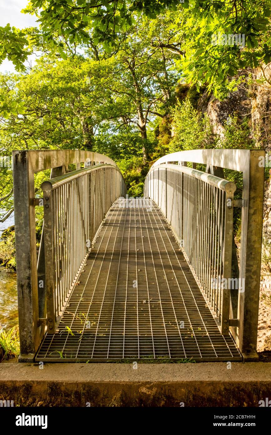 Passerelle le long de West Highland Way près de la baie de Milarrochy, Écosse Banque D'Images