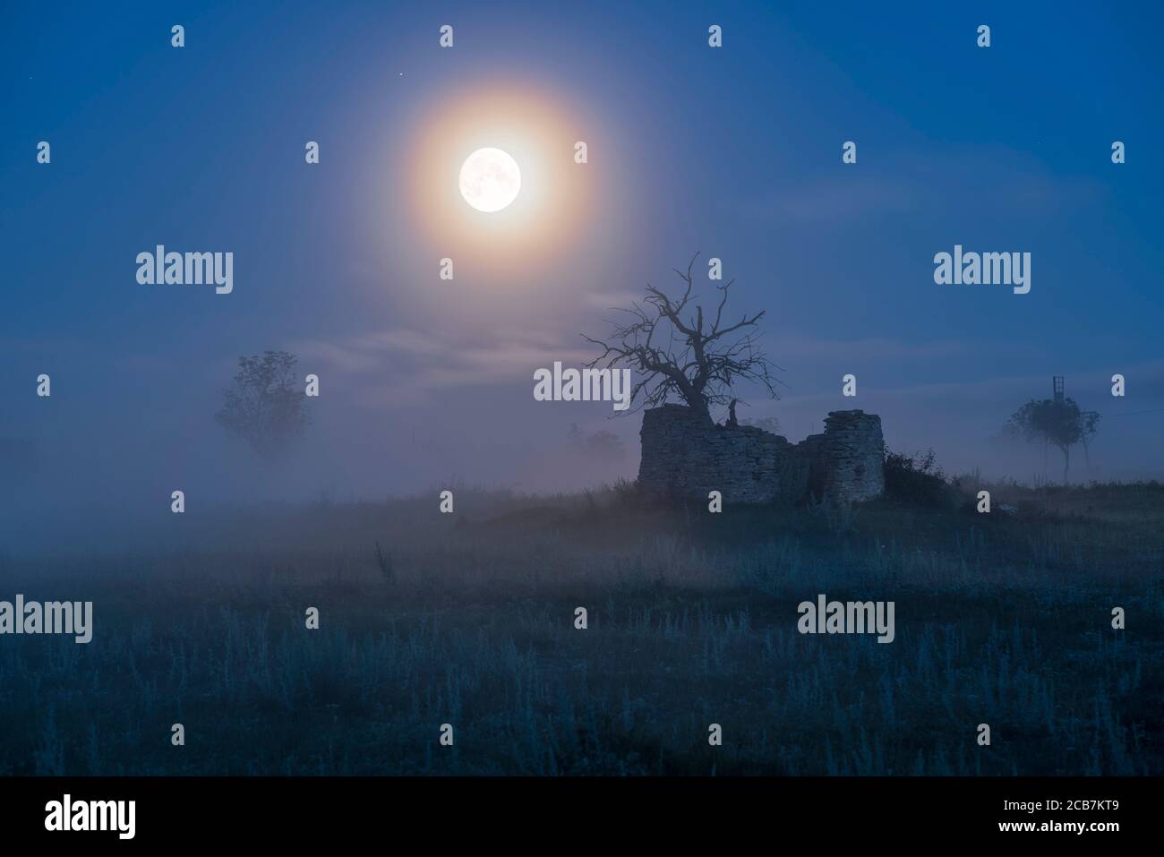 Pleine lune clair de lune sur arbre mort à l'intérieur des ruines d'un vieux moulin à vent dans le paysage rural et le brouillard, Gotland, Suède, Scandinavie. Banque D'Images