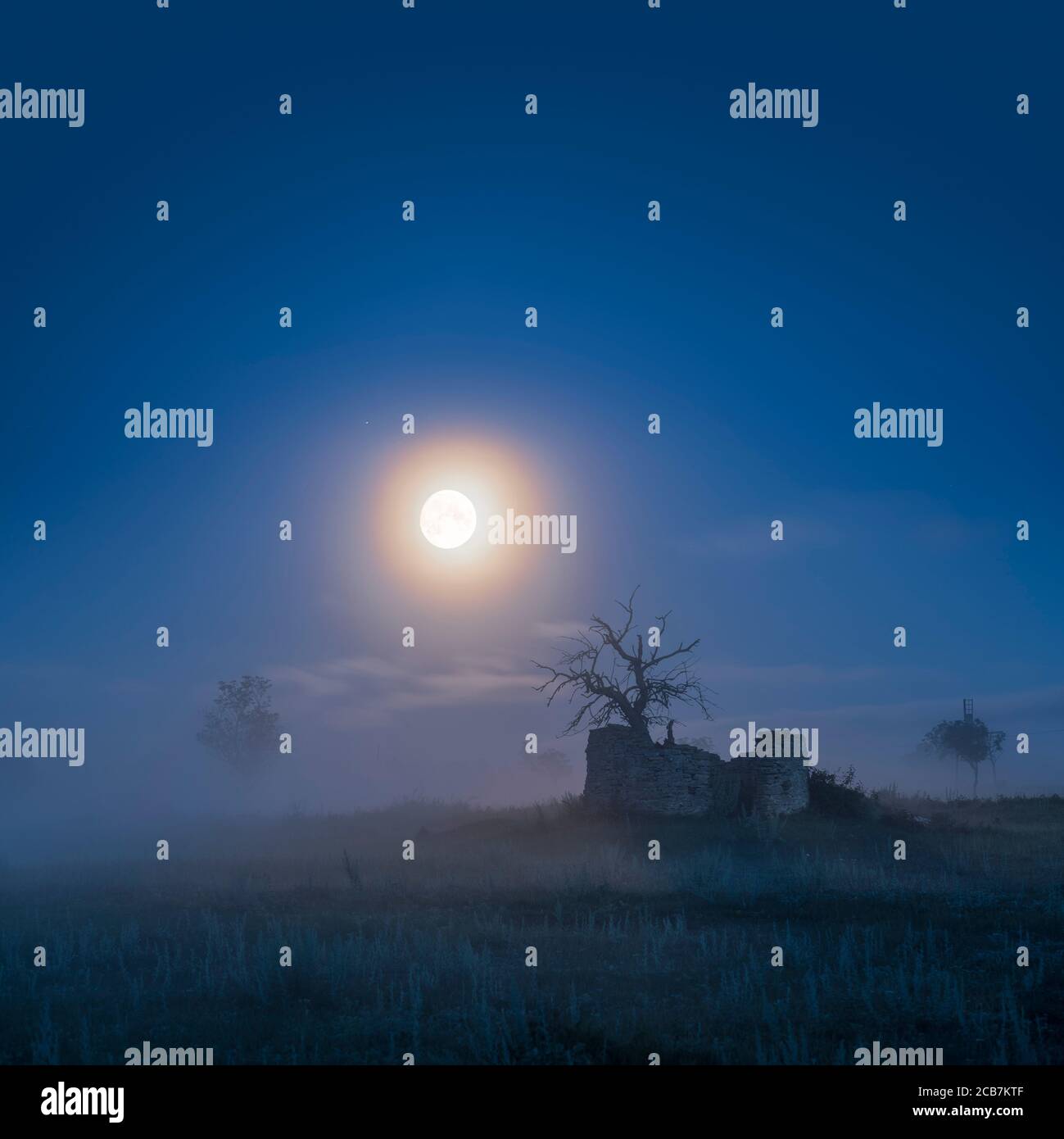Pleine lune clair de lune sur arbre mort à l'intérieur des ruines d'un vieux moulin à vent dans le paysage rural et le brouillard, Gotland, Suède, Scandinavie. Banque D'Images