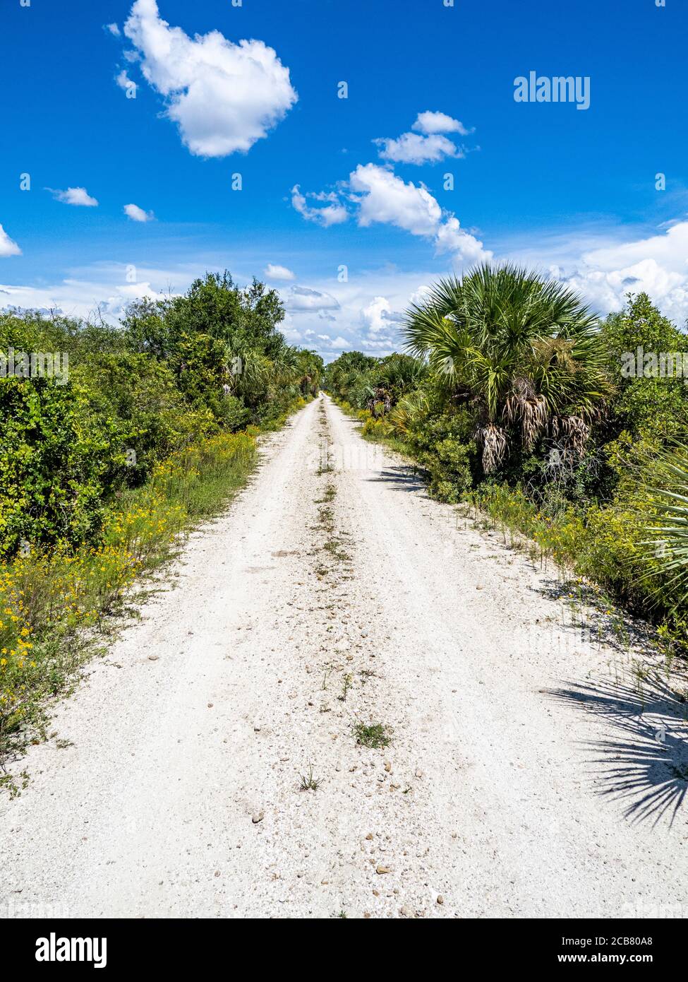 Route de terre dans la zone de gestion de la faune de Fred C. Babcock/Cecil M. Webb à Punta Gorda, dans le sud-ouest de la Floride aux États-Unis Banque D'Images