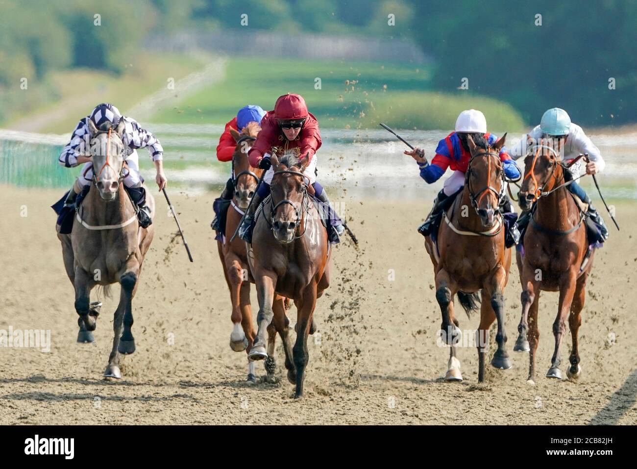 La zone de fin, criblée par Jim Crowley (au centre), remporte les piquets Betway Novice au Lingfield Park Racecourse, Surrey. Banque D'Images