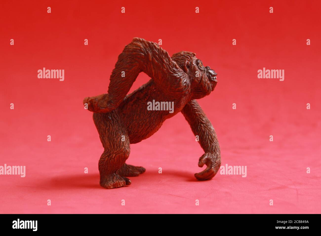 Jouet de singe en caoutchouc isolé sur fond rouge Banque D'Images