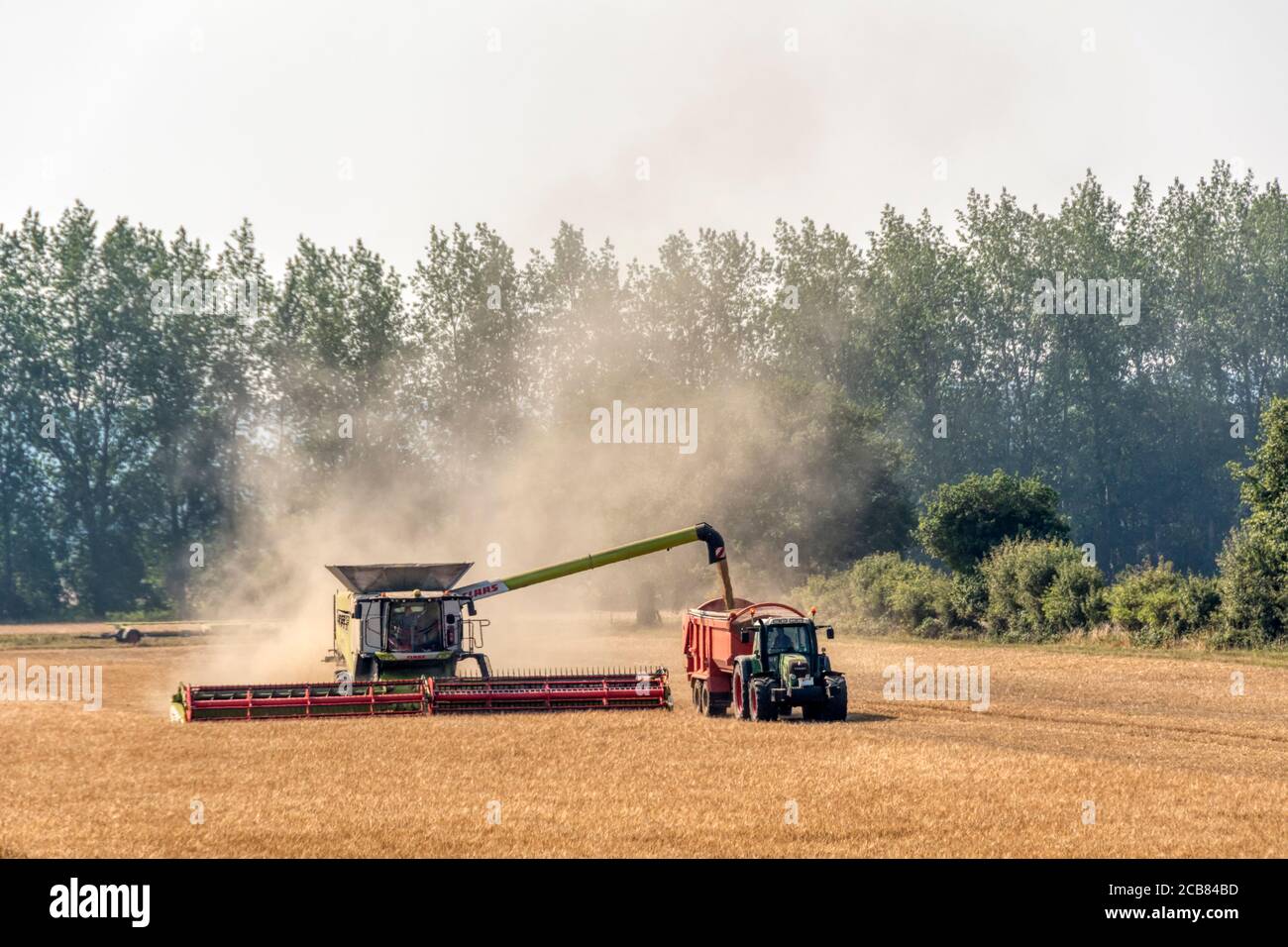 Moissonneuse-batteuse travaillant et déchargeant le grain vers un tracteur et une remorque à Norfolk, Royaume-Uni. Banque D'Images