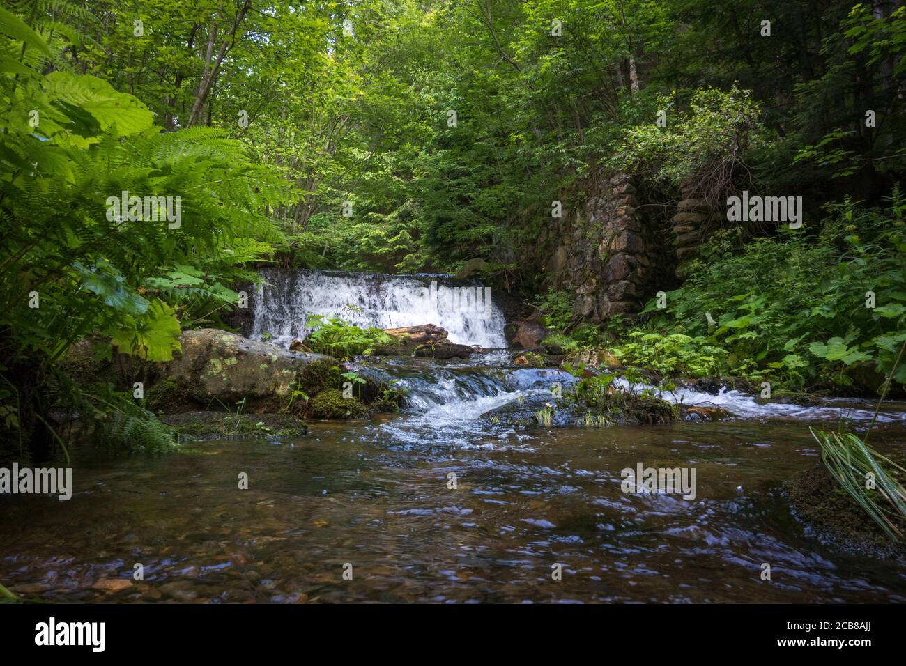 arrière-plan que la structure de saumâtre avec une cascade, la meilleure photo Banque D'Images