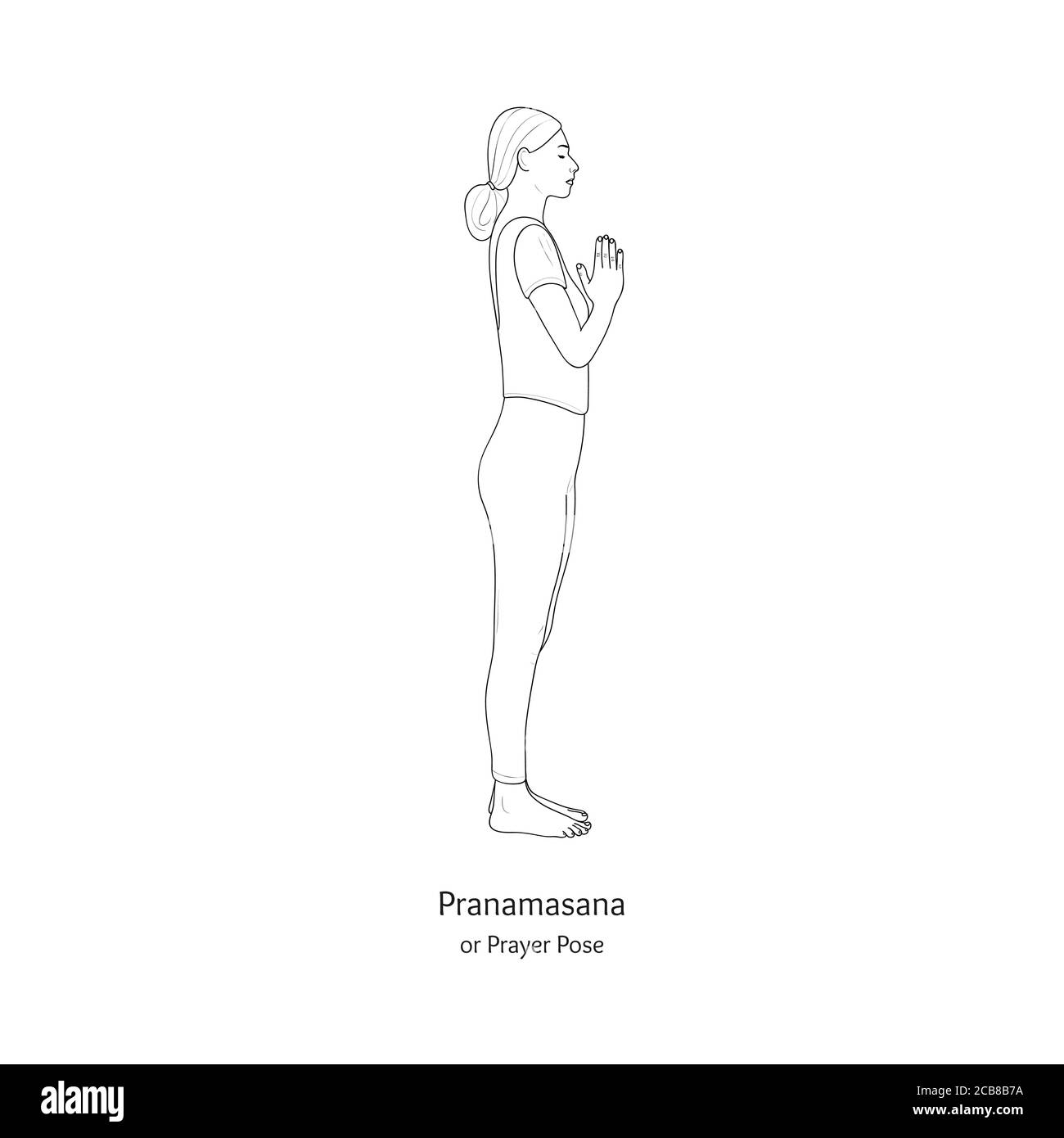 Pranamasana ou pose de prière. Vecteur. Illustration de Vecteur