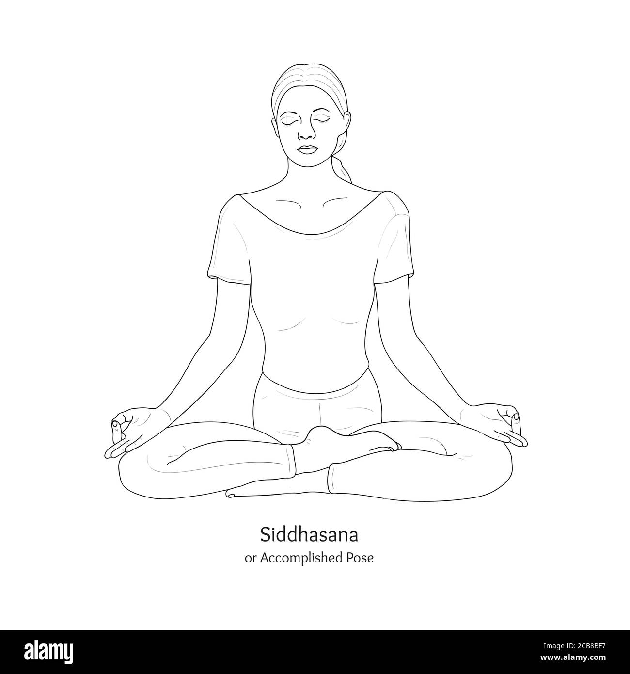 Siddhasana ou pose accomplie avec Chin Mudra. Pratique de yoga. Vecteur. Illustration de Vecteur
