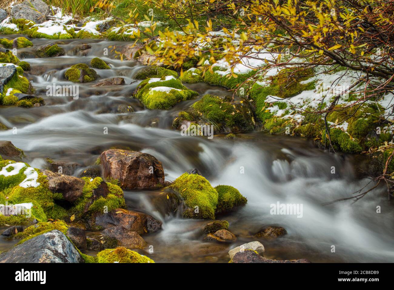 Un petit ruisseau avec de la neige fraîche, parc provincial de Spray Lake, Alberta, Canada Banque D'Images