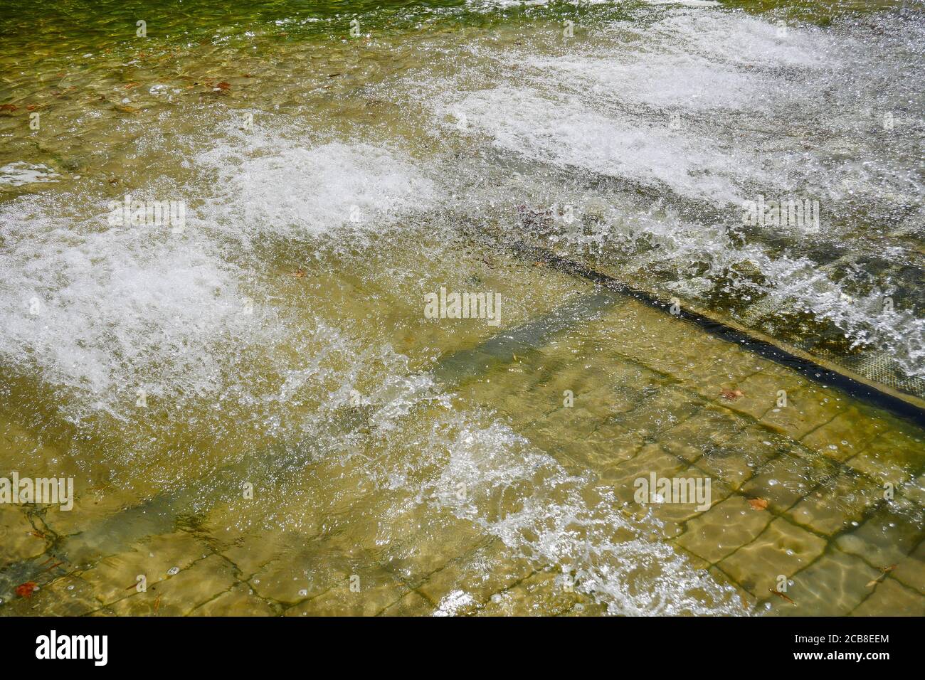 Fontaine de la place de la République surcultivée avec des algues vertes, Lyon, Auvergne région Rhône-Alpes, France Banque D'Images