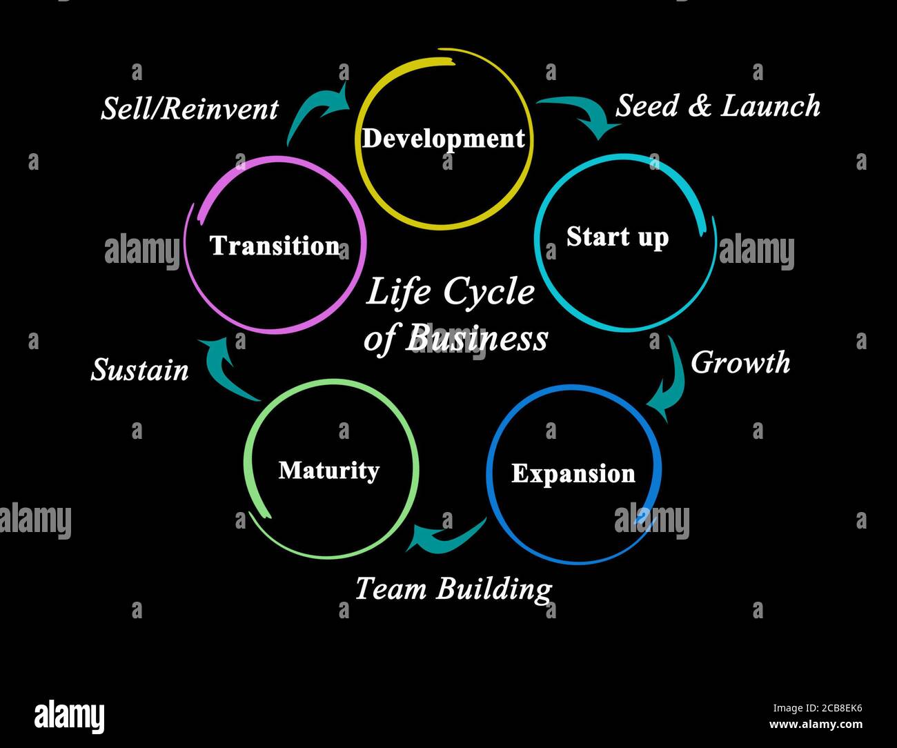 Cinq étapes du cycle de vie de l'entreprise Banque D'Images