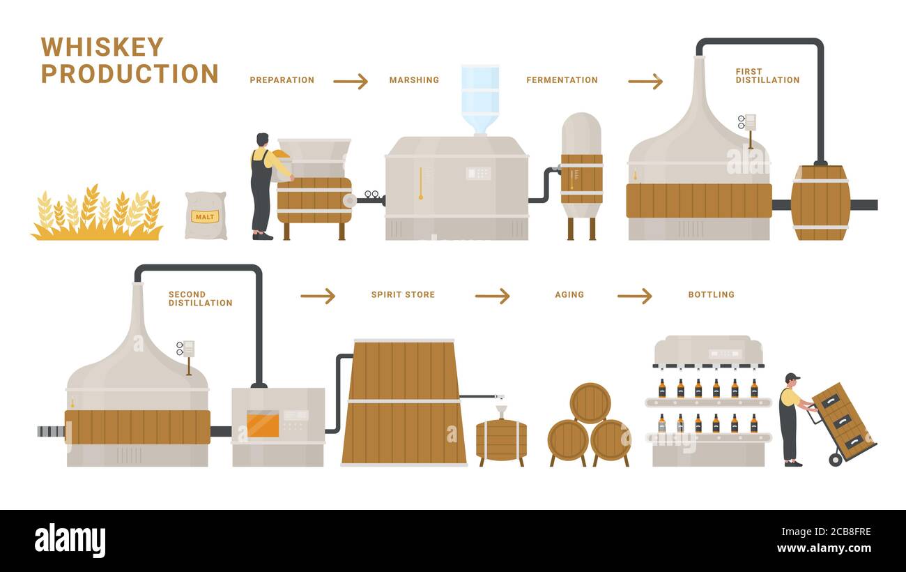 Illustration du vecteur de processus de l'infographie de production