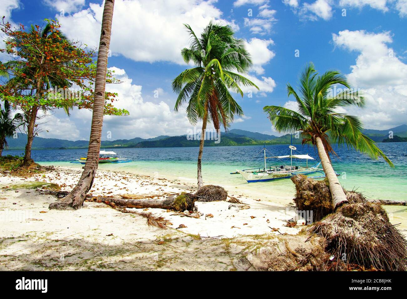 Splendide nature exotique d'El nido, île de Palawan, Philippines. Excursion en bateau sur l'île Banque D'Images