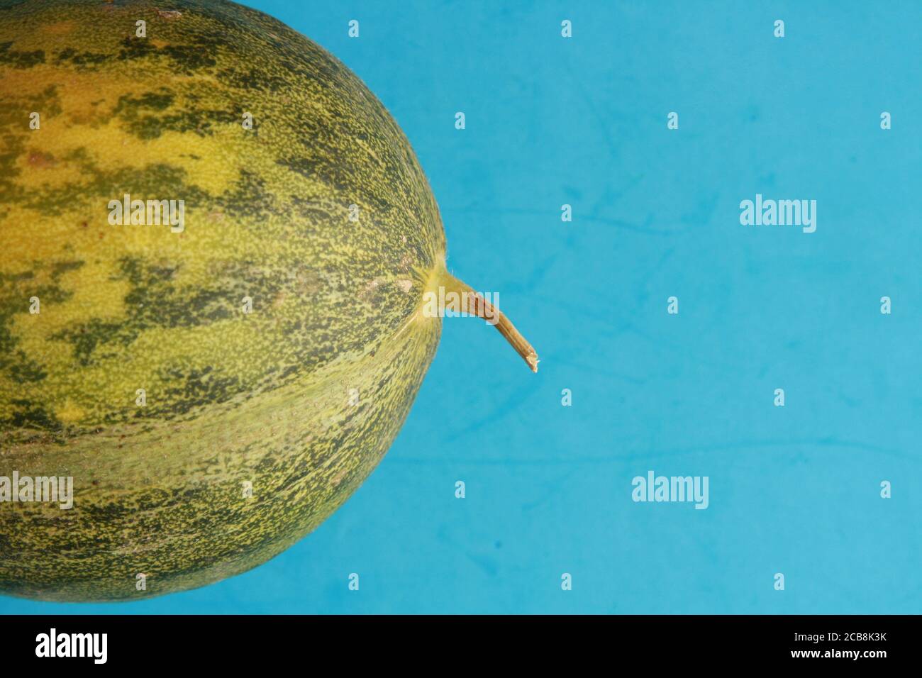 Gros plan d'un melon non coupé sur fond bleu Banque D'Images