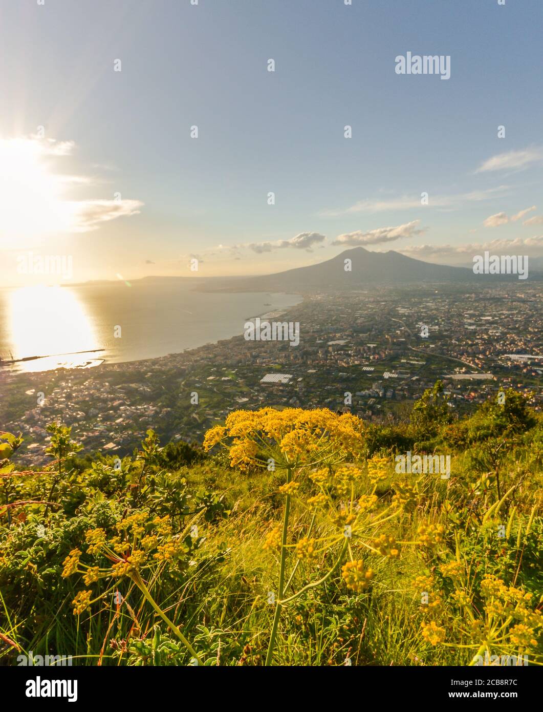 Fleurs jaunes avec un paysage étonnant du sud de l'Italie. Banque D'Images