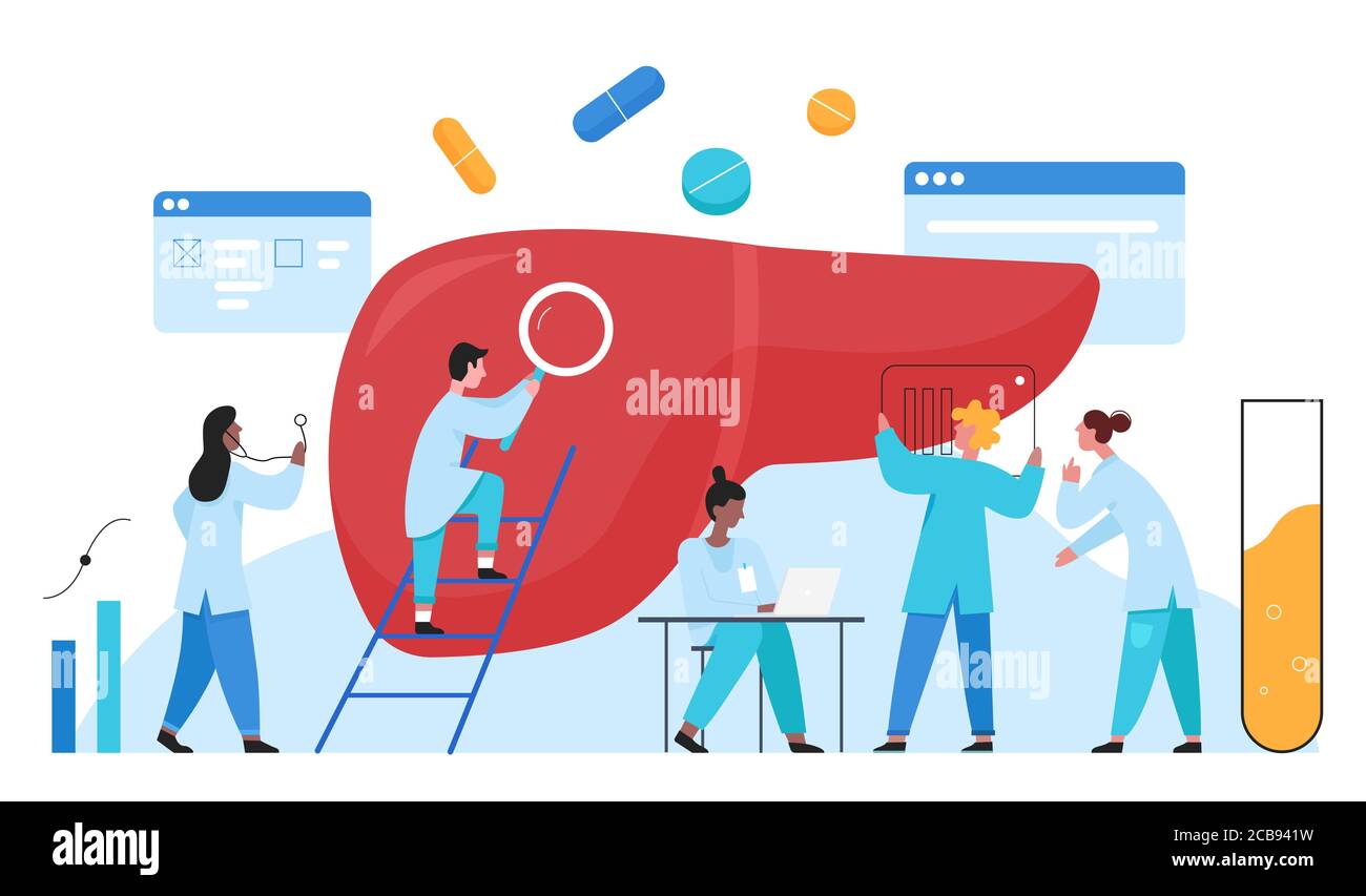Médecins scientifiques personnes en laboratoire recherche foie organe santé concept médical plat vecteur illustration. Hépatite, cirrhose, sensibilisation au cancer, déterminer le diagnostic de traitement de la maladie. Illustration de Vecteur