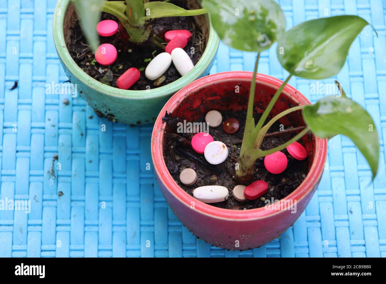 Application de pilules multicolores aux plantes, aux suppléments nutritionnels ou aux engrais Banque D'Images