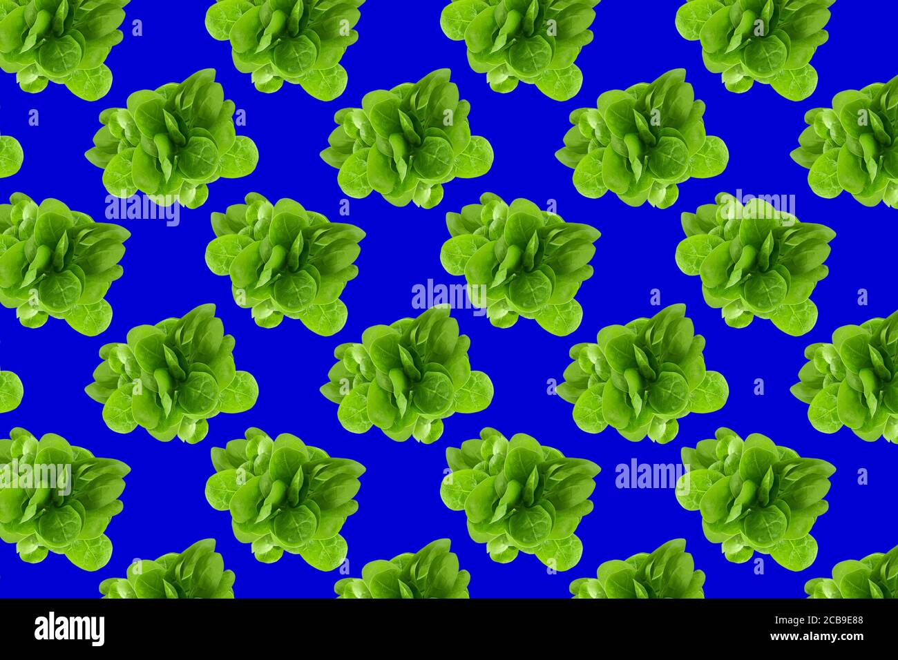 Motif de légumes frais isolés sur une texture colorée créative Banque D'Images