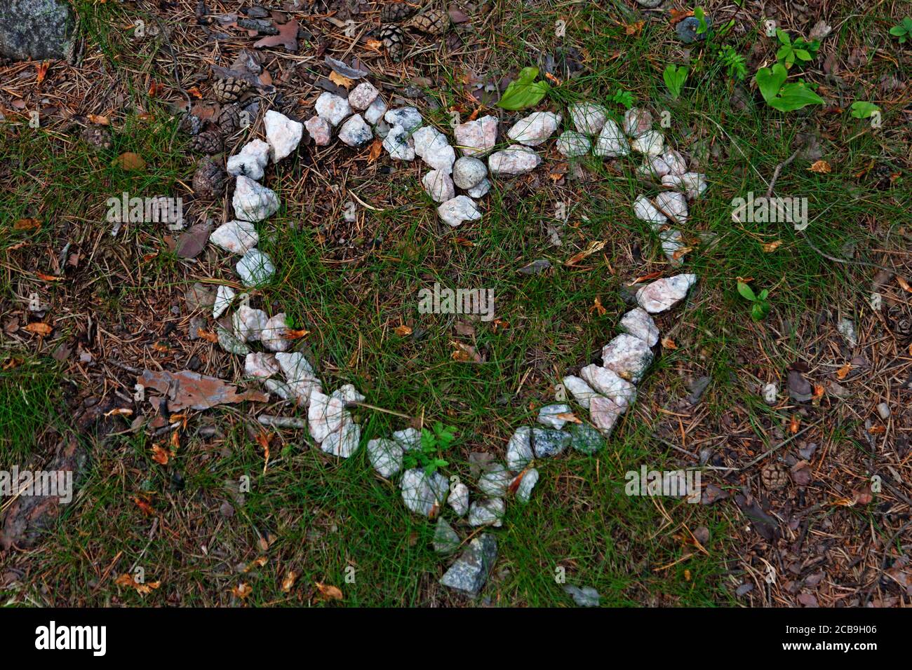 un coeur de pierres trouvées dans la forêt Banque D'Images