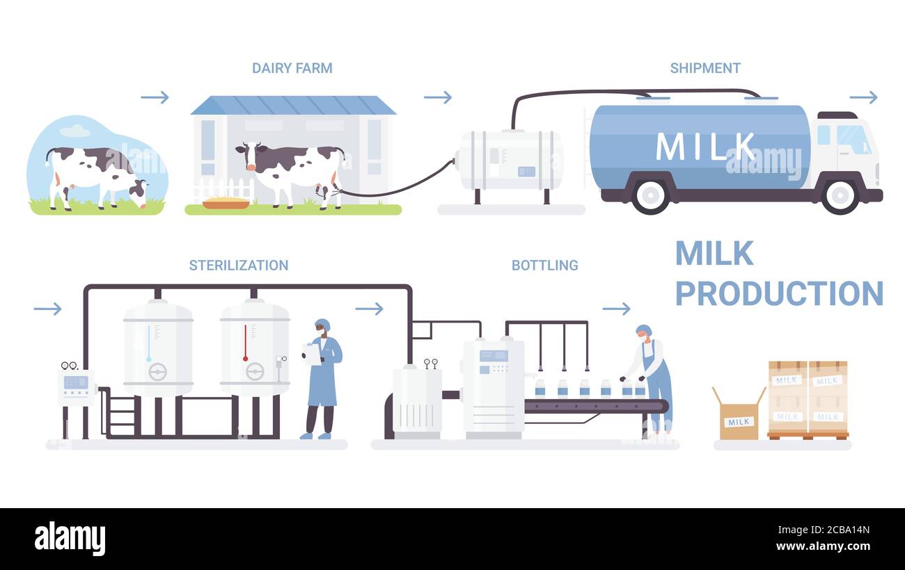 Illustration du vecteur du processus de production des bouteilles de lait. Affiche graphique à plat de dessin animé avec ligne de traitement dans une usine de produits laitiers automatisée, faisant la pasteurisation et l'embouteillage de produits laitiers isolés sur blanc Illustration de Vecteur