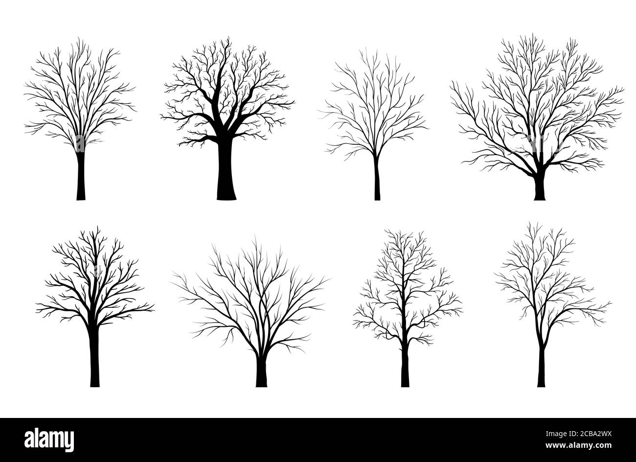Silhouettes d'arbres isolées sur fond blanc. Illustration vectorielle Illustration de Vecteur