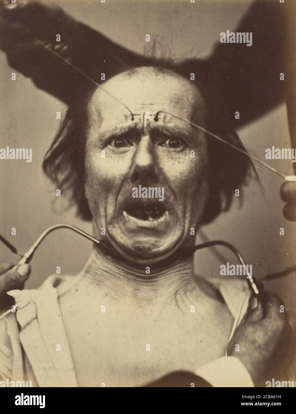 Icono-photographique. M&#xe9;canisme de la physiologie humaine. Figure 65, 1854-56, imprimé en 1862. Banque D'Images
