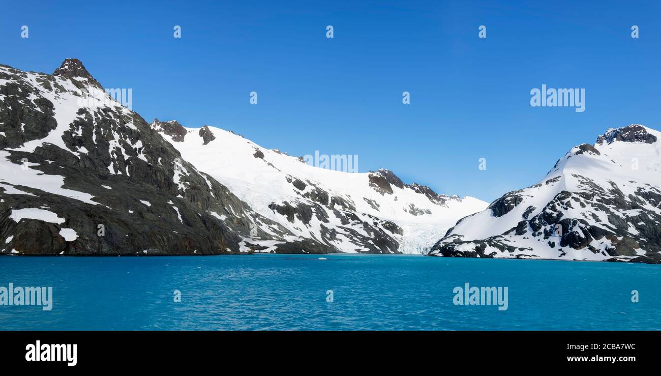 Glacier au fjord de Drygalski, Géorgie du Sud, Géorgie du Sud et îles Sandwich, Antarctique Banque D'Images