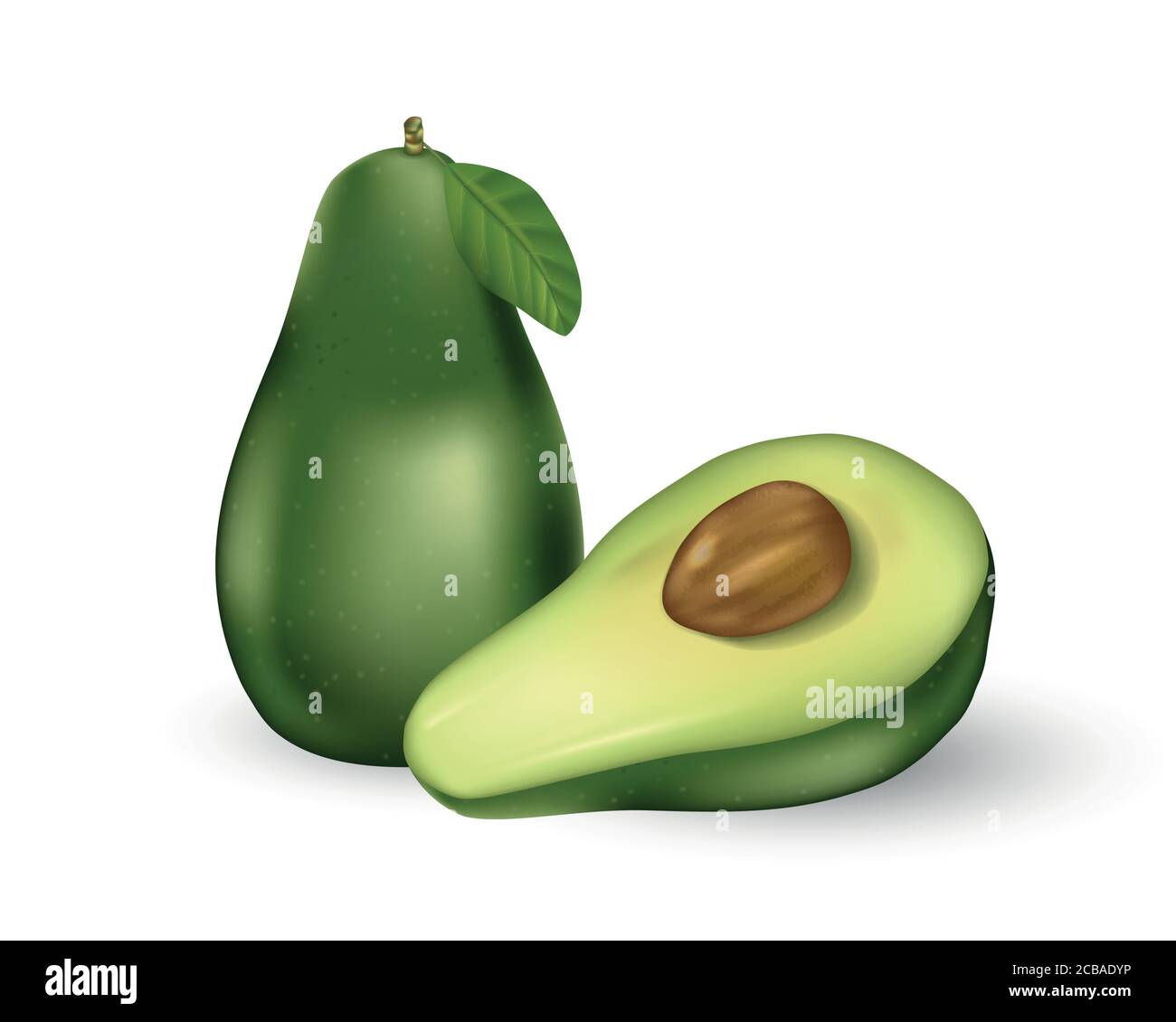 Avocat de fruits frais réaliste isolé sur blanc. Entier et coupé en moitié avocat avec des graines et des feuilles vertes. Illustration vectorielle. Illustration de Vecteur Avocat de fruits frais réaliste isolé sur blanc. Entier et coupé en moitié avocat avec des graines et des feuilles vertes. Illustration vectorielle. Illustration de Vecteur