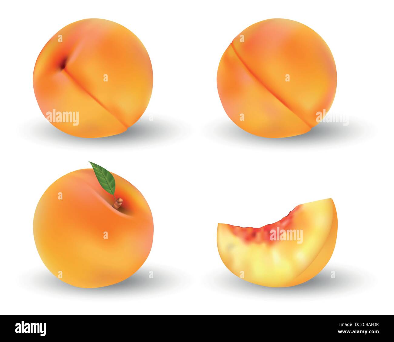 Fruit de pêche mûr réaliste isolé sur blanc. Entières et coupées en pêche à la moitié orange avec des graines et des feuilles vertes. Illustration vectorielle. Illustration de Vecteur Fruit de pêche mûr réaliste isolé sur blanc. Entières et coupées en pêche à la moitié orange avec des graines et des feuilles vertes. Illustration vectorielle. Illustration de Vecteur