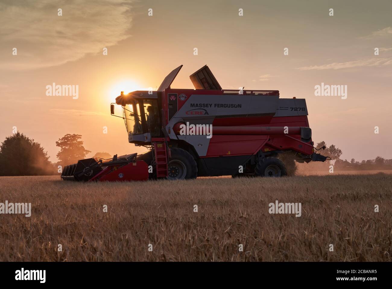 Moissonneuse-batteuse Massey Ferguson dans un champ du lincolnshire avec un magnifique coucher de soleil derrière créant un effet sunstar sur les pilotes cabine Banque D'Images