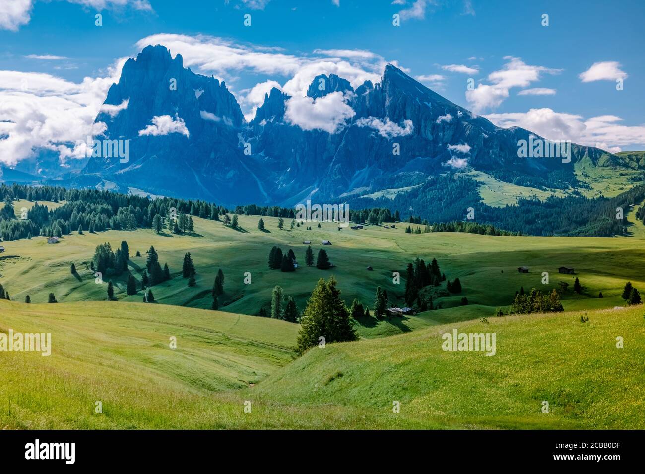 Alpe di Siusi - Sesiser Alm avec Sassolungo - Groupe de montagne Langkofel en arrière-plan au coucher du soleil. Fleurs de printemps jaunes et chalets en bois dans les Dolomites Banque D'Images