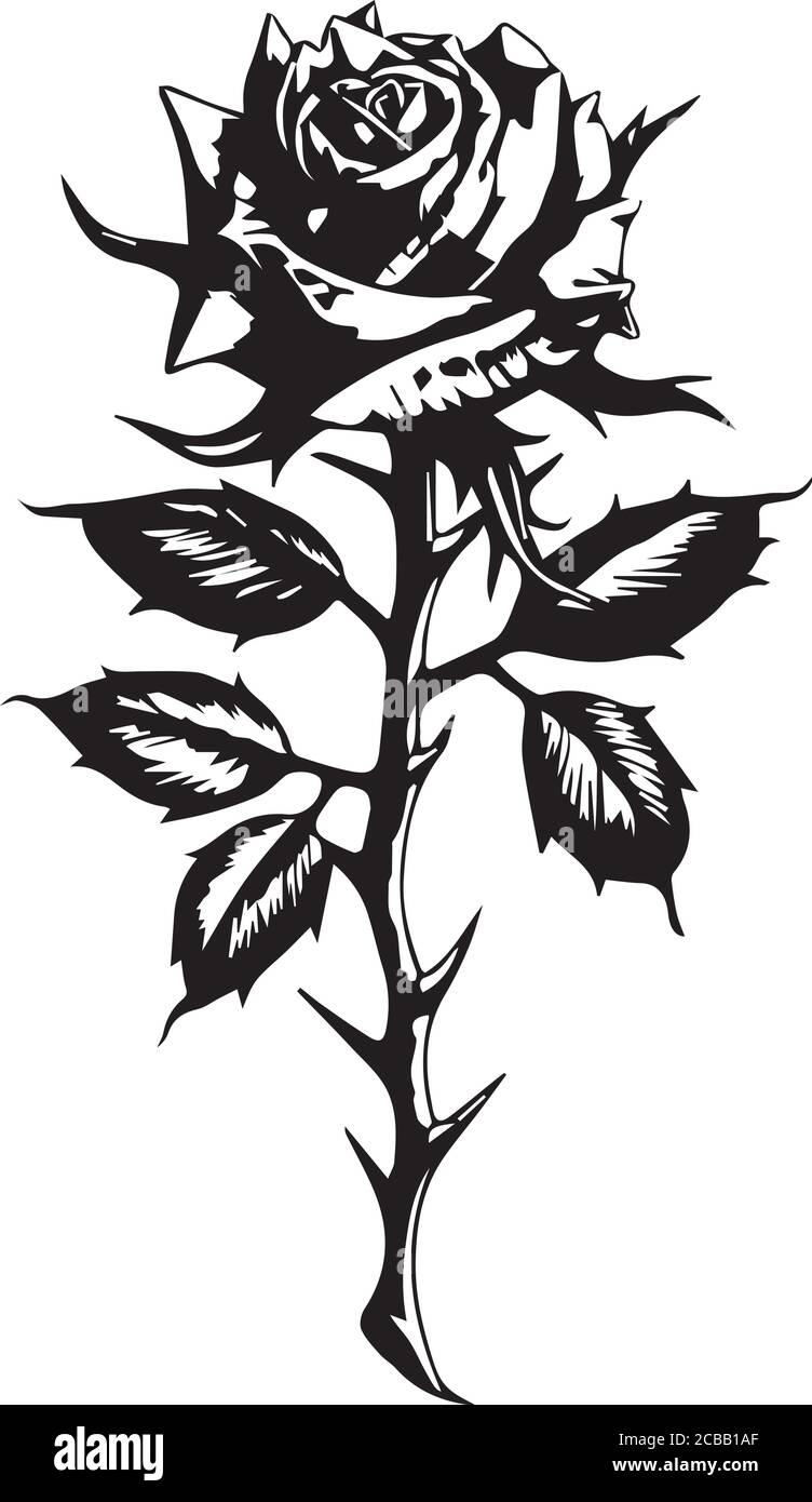 Illustration vectorielle du tatouage rose Illustration de Vecteur