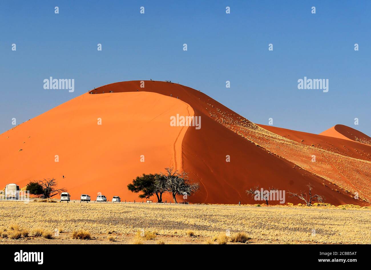 Parc national de Naukluft Namibie, Sossusvlei. Dune 45 est une dune vedette dans la région de Sossusvlei du Namib en Namibie. La dune est de 80 à 170 m de haut et le CO Banque D'Images