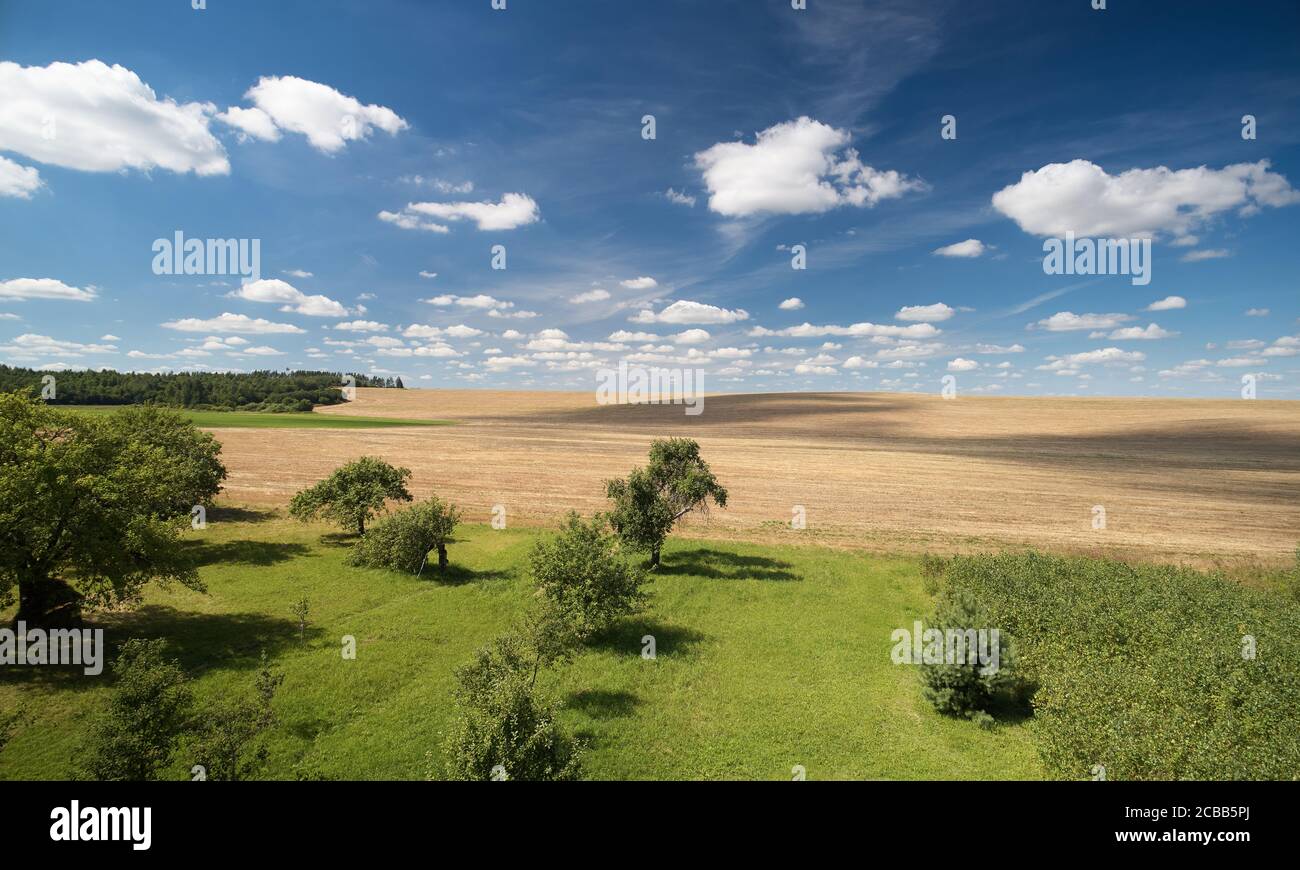Champ vert agricole avec antenne ciel bleue au-dessus de la vue de dessus Banque D'Images