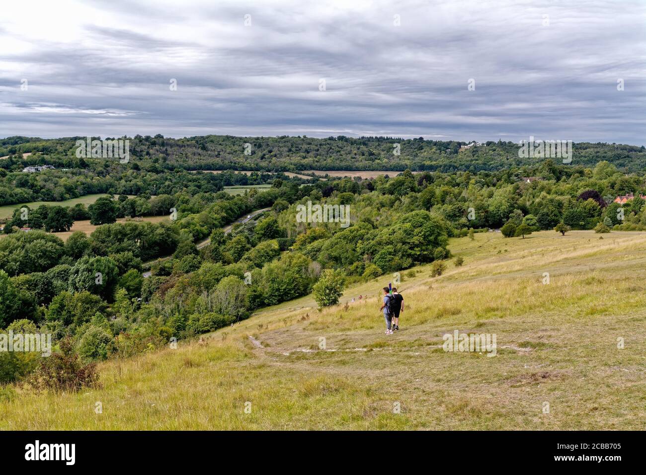 Un point de vue élevé de Box Hill of the North Downs près de Westhumble le jour de l'été, Dorking Surrey, Angleterre, Royaume-Uni Banque D'Images