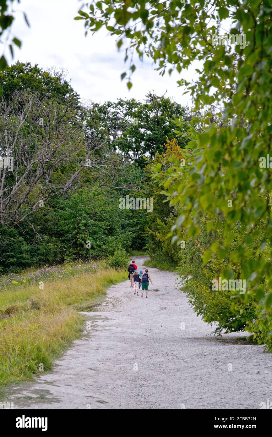 Un jeune groupe de familles marchant sur le sentier menant à Box Hill un jour d'été, Dorking Surrey, Angleterre, Royaume-Uni Banque D'Images