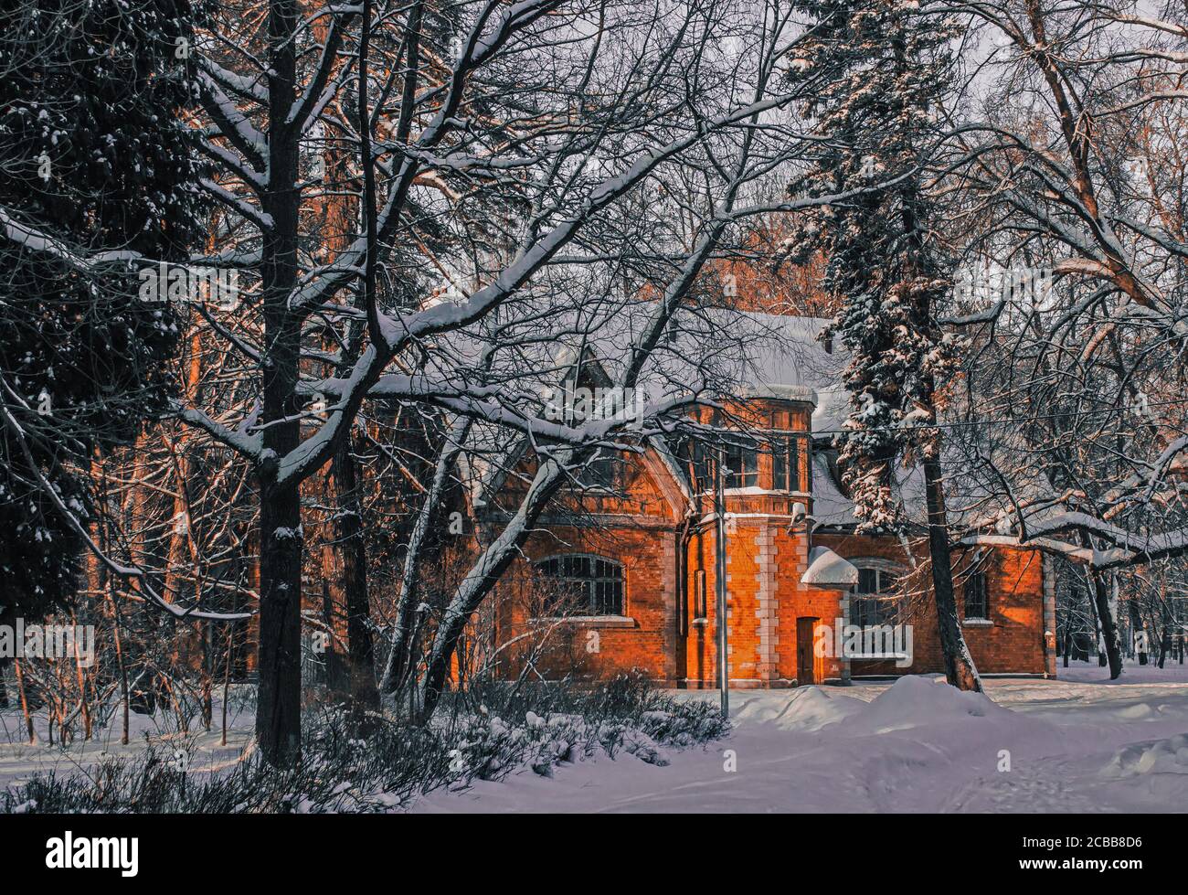 Maison en brique abandonnée dans une forêt d'hiver Banque D'Images