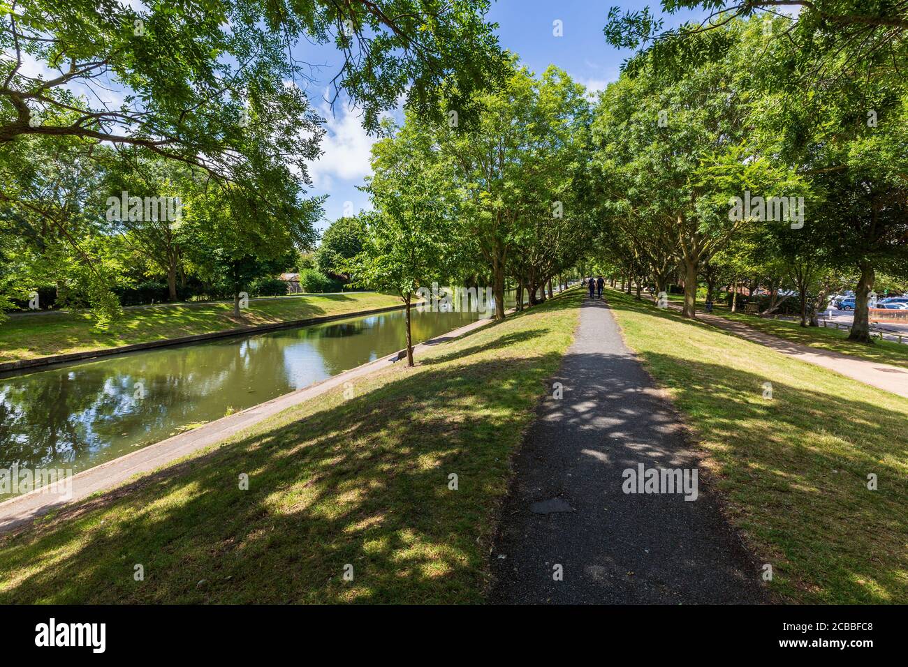 L'arbre couvrait le chemin le long du canal militaire royal du XIXe siècle à Hythe, dans le Kent, en Angleterre Banque D'Images