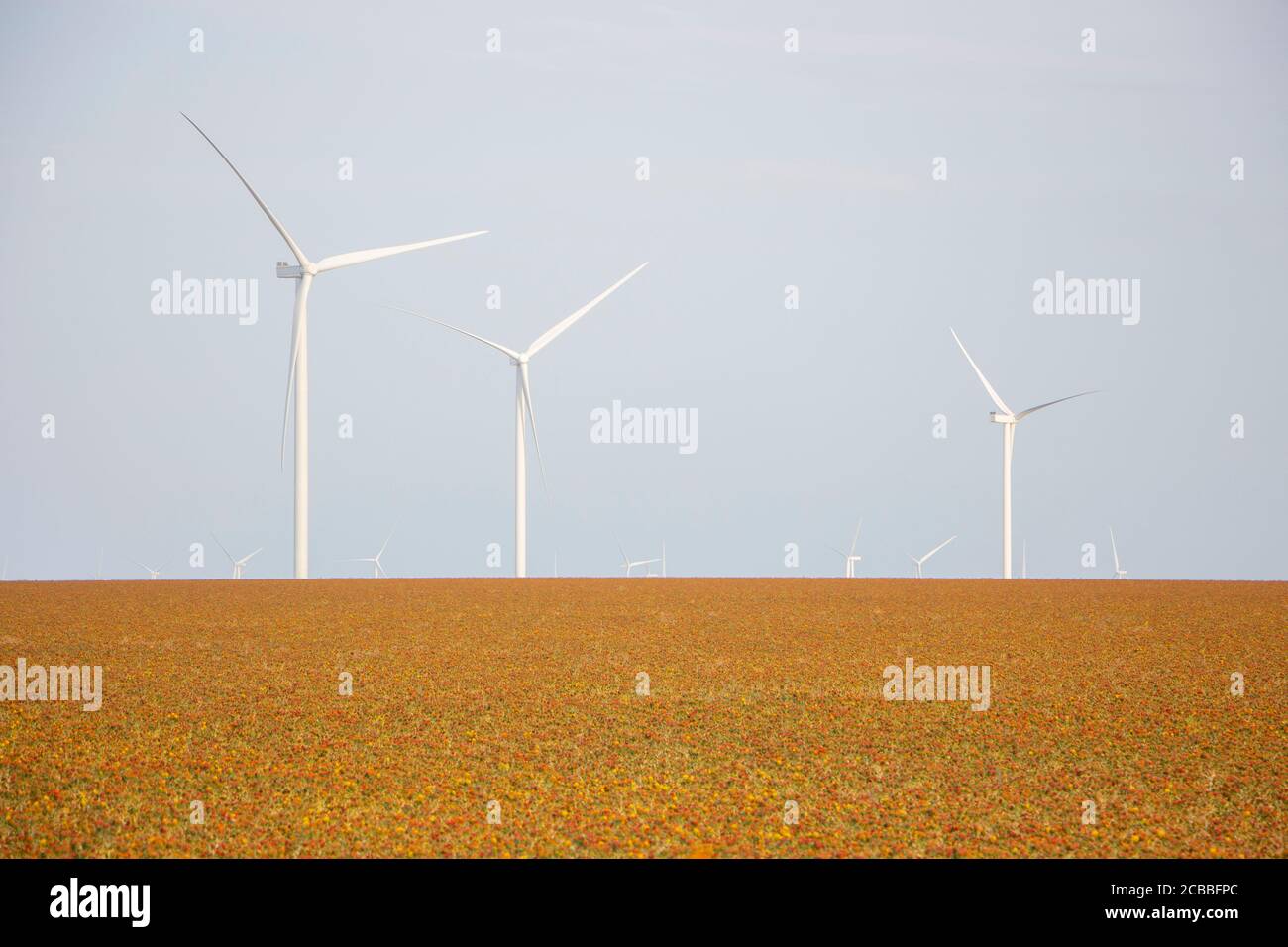 Éoliennes sur fond de ciel nuageux, des moulins à vent qui produisent de l'électricité sont installés dans la steppe. Banque D'Images