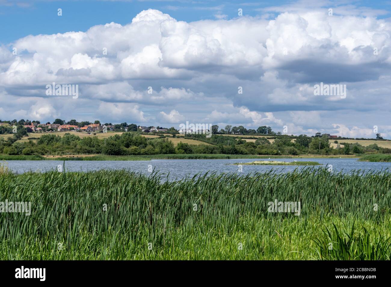 Découvrez les Leys d'été pendant une journée d'été, près de Wellingborough, Royaume-Uni ; auparavant, les graviers fosses sont désormais une réserve naturelle bien considérée. Banque D'Images