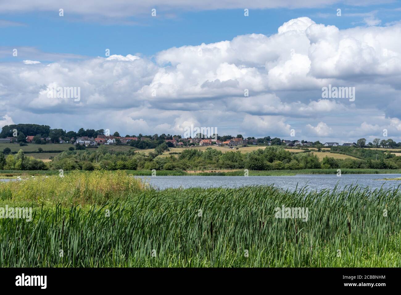 Découvrez les Leys d'été pendant une journée d'été, près de Wellingborough, Royaume-Uni ; auparavant, les graviers fosses sont désormais une réserve naturelle bien considérée. Banque D'Images