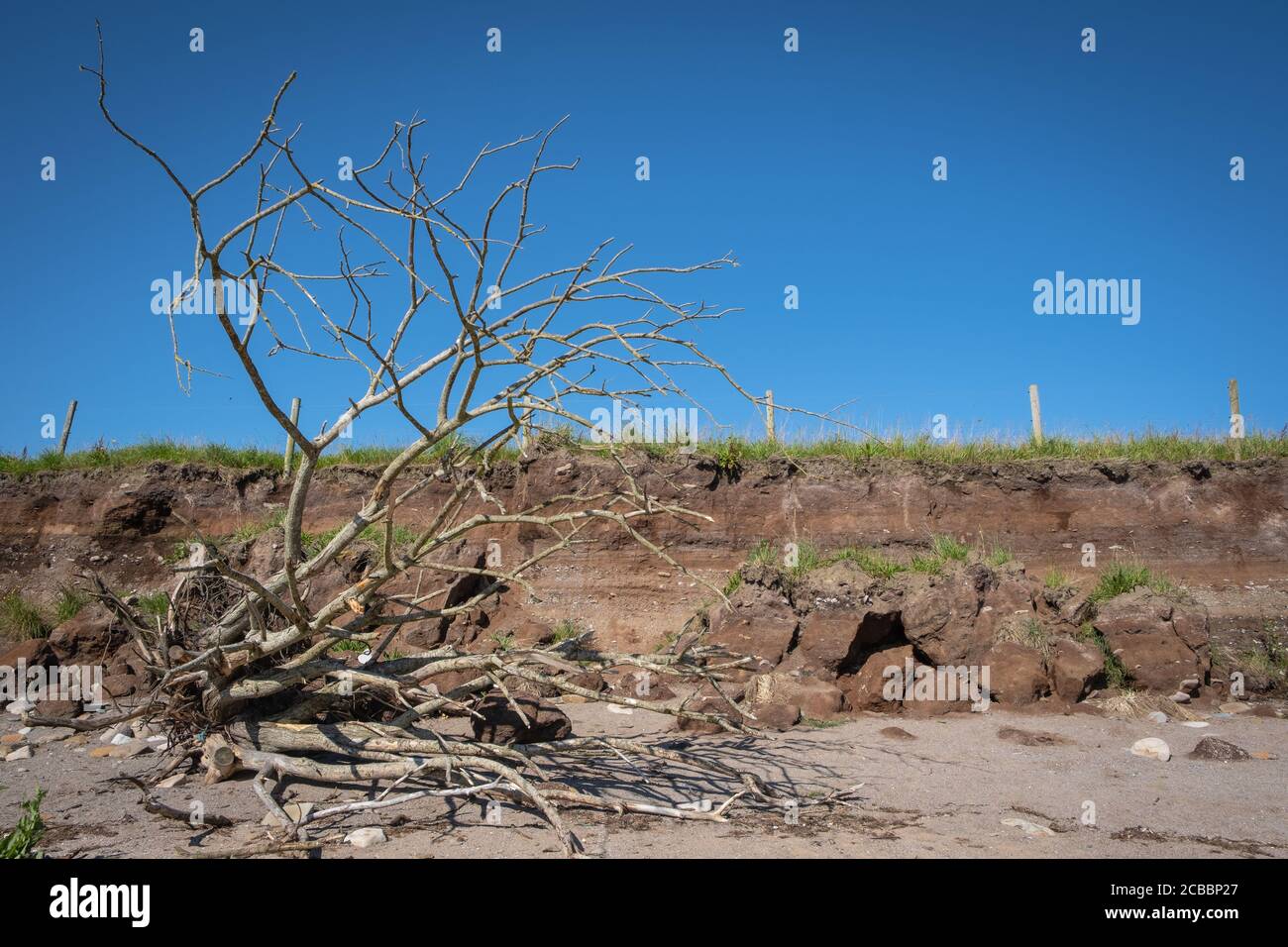 Signes d'érosion et effets du temps sauvage sur la plage de Carsethorn, Dumfries et Galloway, en Écosse. Banque D'Images