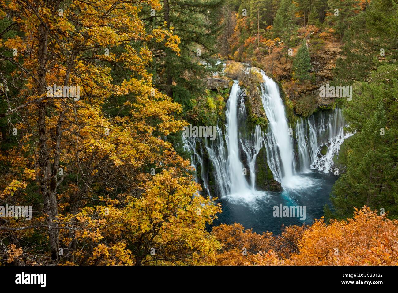 Falls Color - UNE multitude de couleurs entoure les chutes de Burney pendant la saison d'automne. McArthur-Burney Falls State Park, Californie, États-Unis Banque D'Images