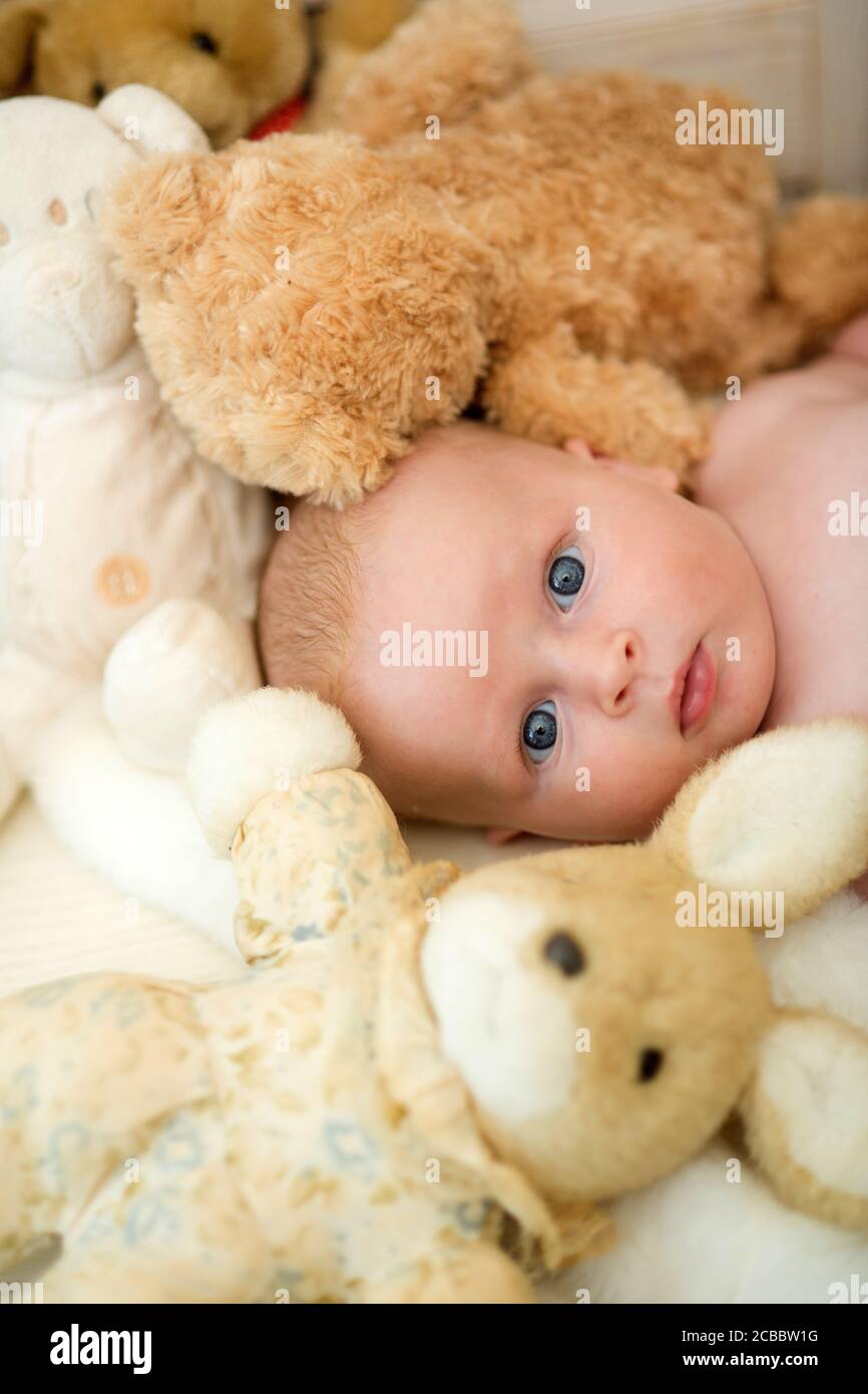 Enfance Et Innocence Concept Tout Petit Nouveau Ne Aux Yeux Bleus Et Au Visage Surpris Entoure De Jouets En Peluche Bebe Couche Par Son Lapin Beige Bebe Garcon Avec Des Jouets Mous Gros Plan Enfance Et Innocence Concept Tout Petit Nouveau Ne Aux Yeux Bleus Et Au Visage Surpris Entoure De Jouets En Peluche Bebe Couche Par Son Lapin Beige Bebe Garcon Avec Des Jouets Mous Gros Plan