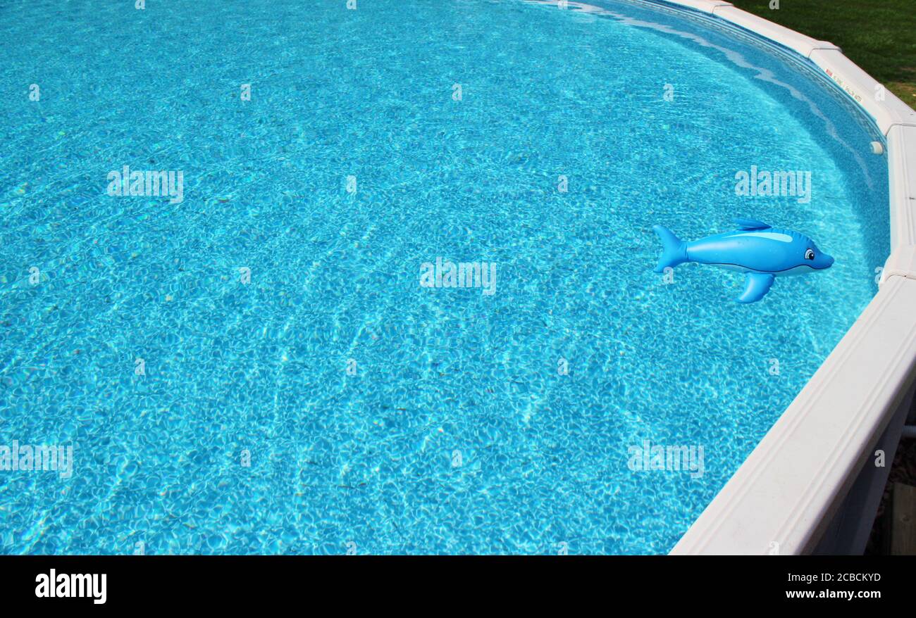 Eau de piscine bleue avec un jouet de piscine de dauphin en plastique Banque D'Images