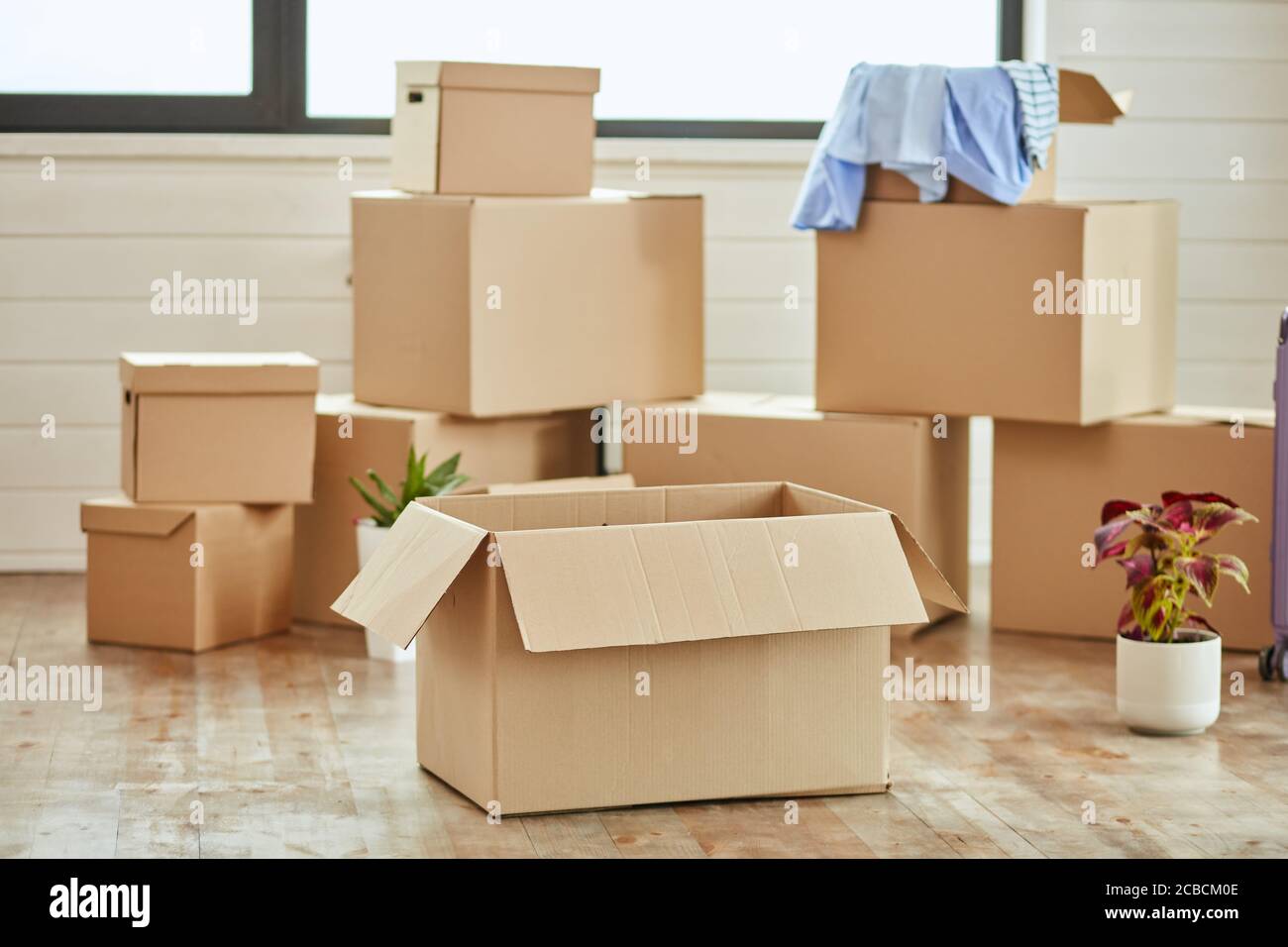 En premier plan, grande boîte en carton ouverte, arrière-plan neuf boîtes  et fleur en pot Photo Stock - Alamy