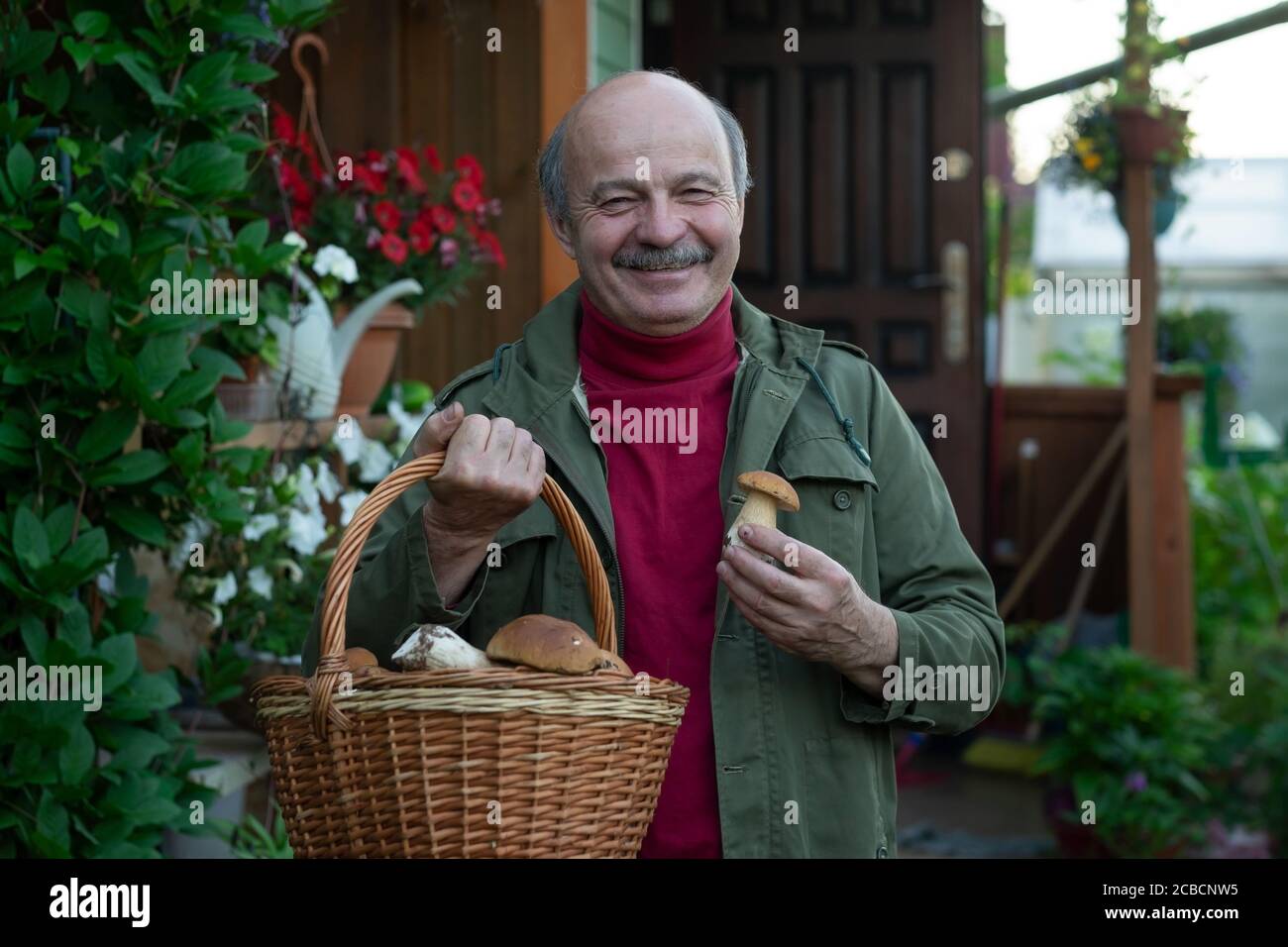Le vieil homme rassemble des champignons montrant un cep dans le panier. Banque D'Images