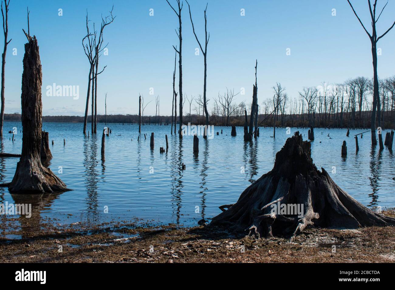 Photographie de paysage Banque D'Images