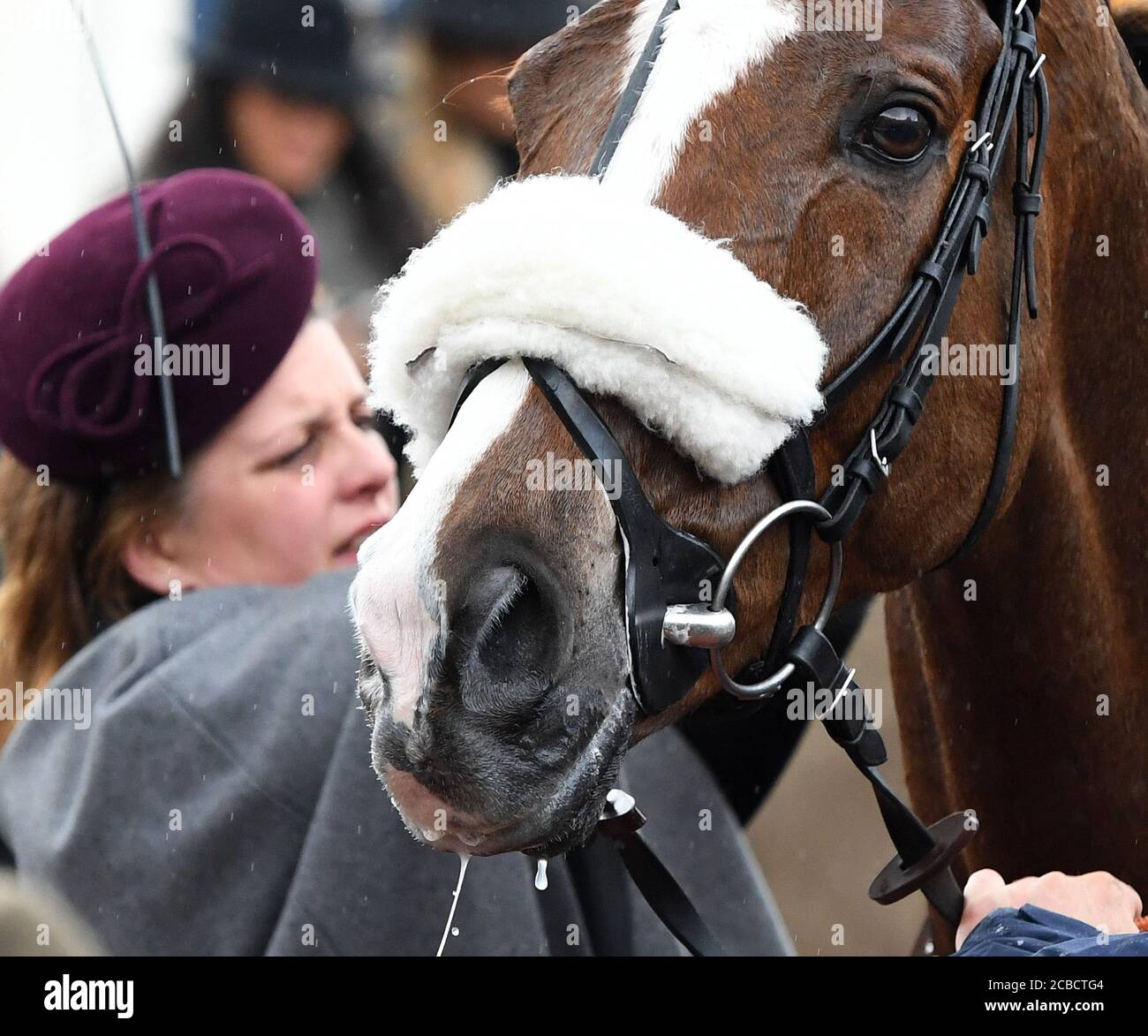 Embout De Cheval Trammell, Bâillon Coulissant Torsadé 5 Avec Bande De Nez