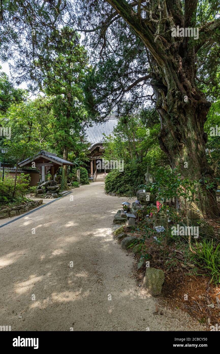 Joruriji est le temple n° 46 sur le pèlerinage de Shikoku. Il se trouve parmi les champs sur une pente douce dans le sud de Matsuyama. Le bâtiment du temple est larg Banque D'Images