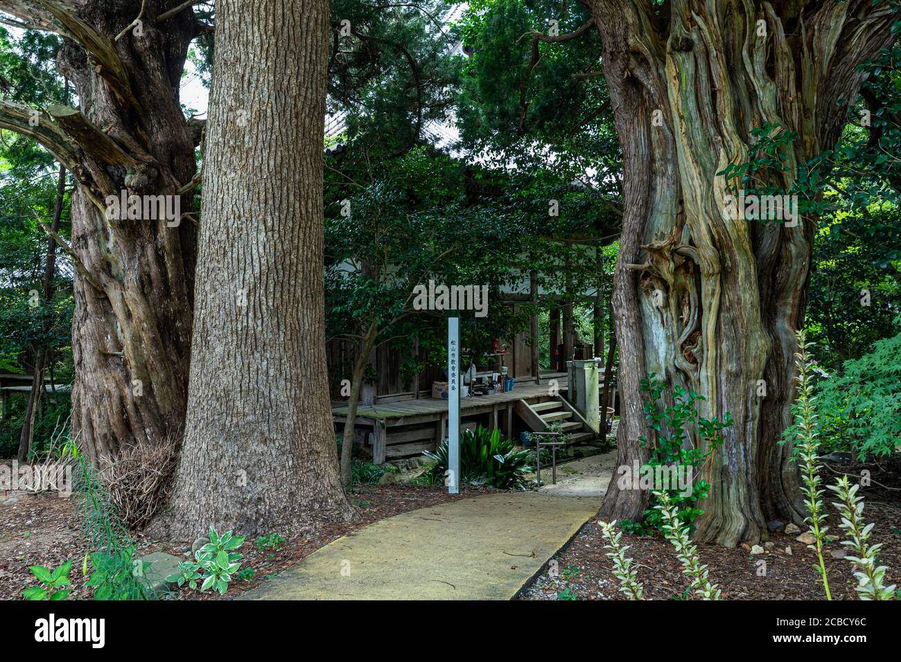 Joruriji est le temple n° 46 sur le pèlerinage de Shikoku. Il se trouve parmi les champs sur une pente douce dans le sud de Matsuyama. Le bâtiment du temple est larg Banque D'Images